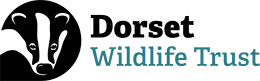 Dorset Wildlife Trust